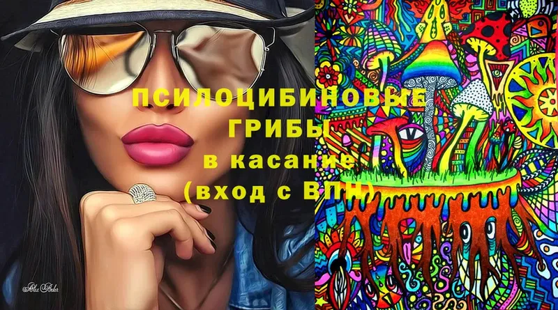 mega зеркало  сколько стоит  Короча  Псилоцибиновые грибы Cubensis 